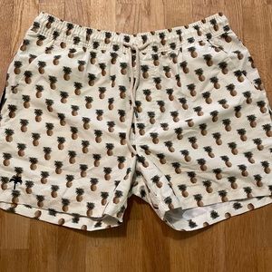 OAS Pina Colada Swim Shorts (Brand New)
